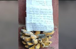 ব্রাহ্মণবাড়িয়ায় চুরি করা ফল ফেরত দিয়ে চিঠিতে ক্ষমা চাইলেন চোর