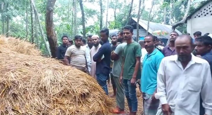 ফুলগাজীতে খড়ের গাদার নিচে পড়ে ৩ জনের  মৃত্যু