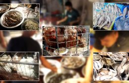 ‘বাজারে এলেই ঘাম ছুটে যায়’