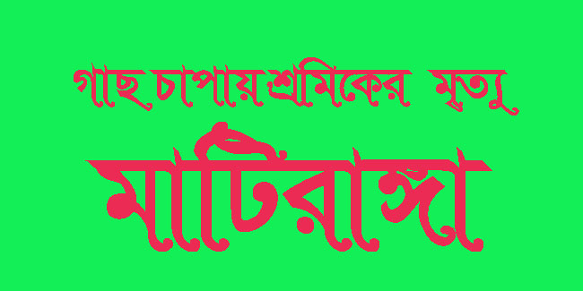 মাটিরাঙ্গার  তাইন্দং-এ  গাছ চাপায় শ্রমিকের মৃত্যু