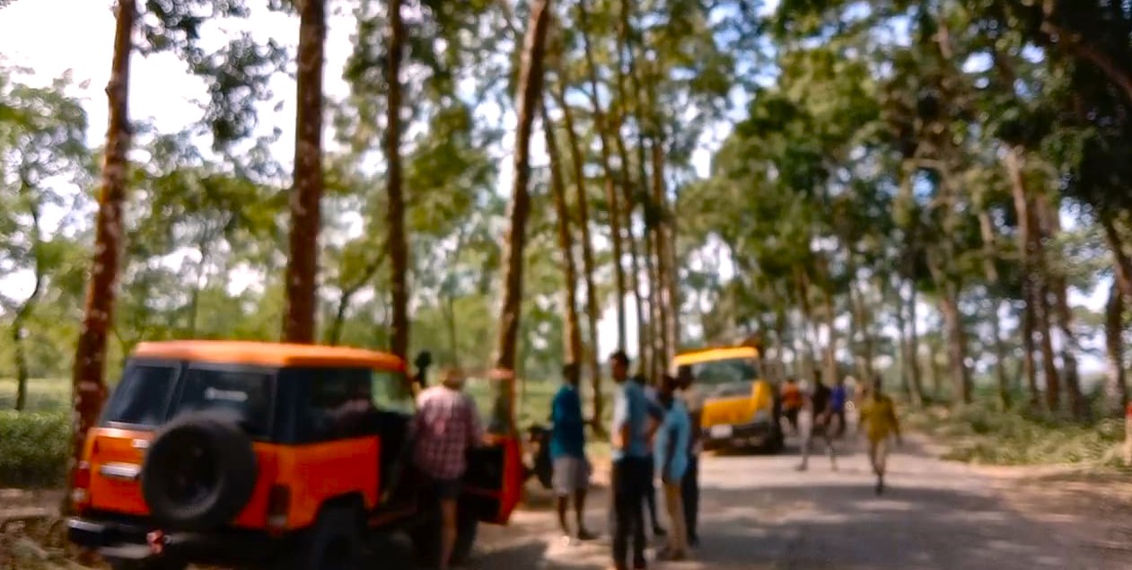 খাগড়াছড়ি-ঢাকা-চট্টগ্রাম মহাসড়কের  গাছ খাচ্ছে চা বাগান কর্তৃপক্ষ