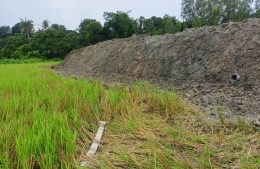 শ্রীনগরে কৃষি জমি কেটে প্রবাসীর জমি দখলের পায়তারা