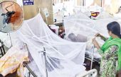 ডেঙ্গুতে আরও ৫ জনের মৃত্যু, শনাক্ত ৩৪৪