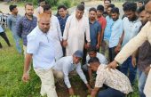 দীঘিনালায় ছাত্রদলের বৃক্ষরোপন কর্মসূচী উদ্বোধন
