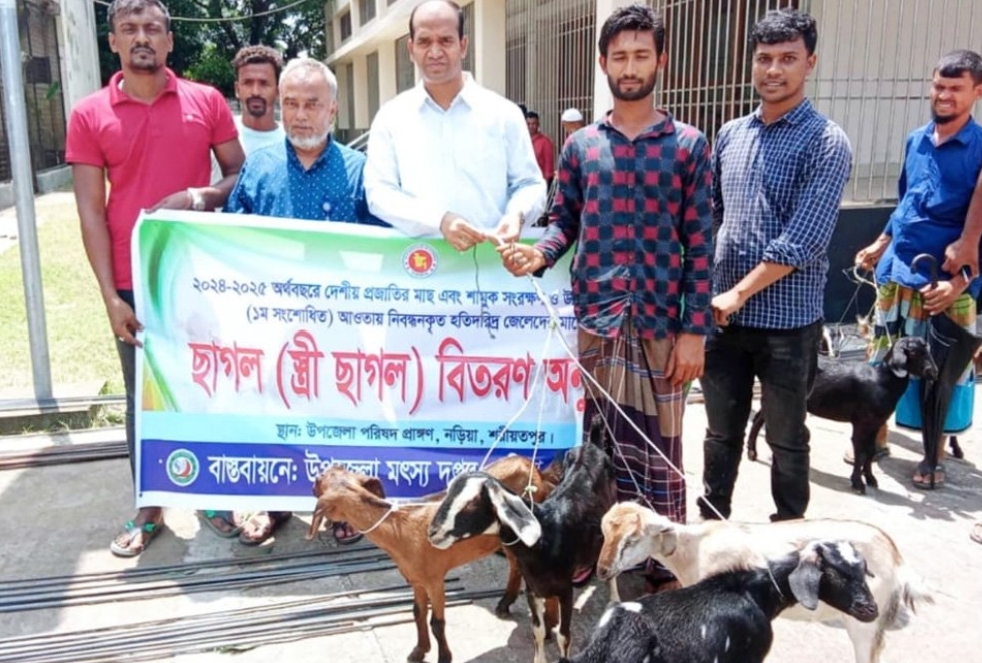 নড়িয়ায় মৎস্যজীবীদের মাঝে ছাগল বিতরণ