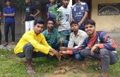 সবুজের সমারোহ গড়তে উল্টাছড়ি ইউনিয়ন ছাত্রদলের বৃক্ষ রোপন