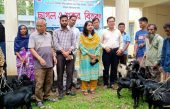 বিকল্প কর্মসংস্থান ও পারিবারিক আয় বাড়ানোর লক্ষ্যে পানছড়িতে ছাগল ও শুকর বিতরণ