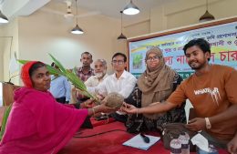 ভেদরগঞ্জে কৃষি প্রণোদনার আওতায় নারিকেল চারা বিতরণ