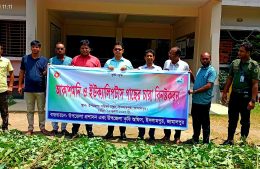 ইসলামপুরে ইউক্যালিপটাস ও আকাশমনি চারা ধ্বংস করলো প্রশাসন