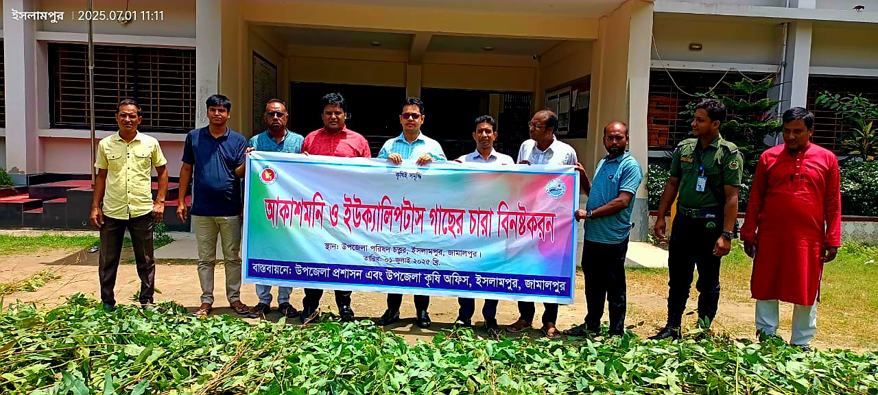 ইসলামপুরে ইউক্যালিপটাস ও আকাশমনি চারা ধ্বংস করলো প্রশাসন